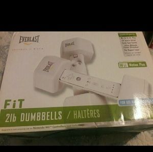 Wii Everlast 2lb weights
